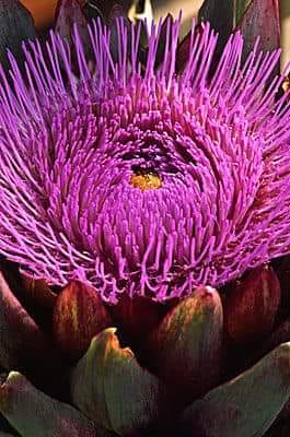 Relations of Humanity