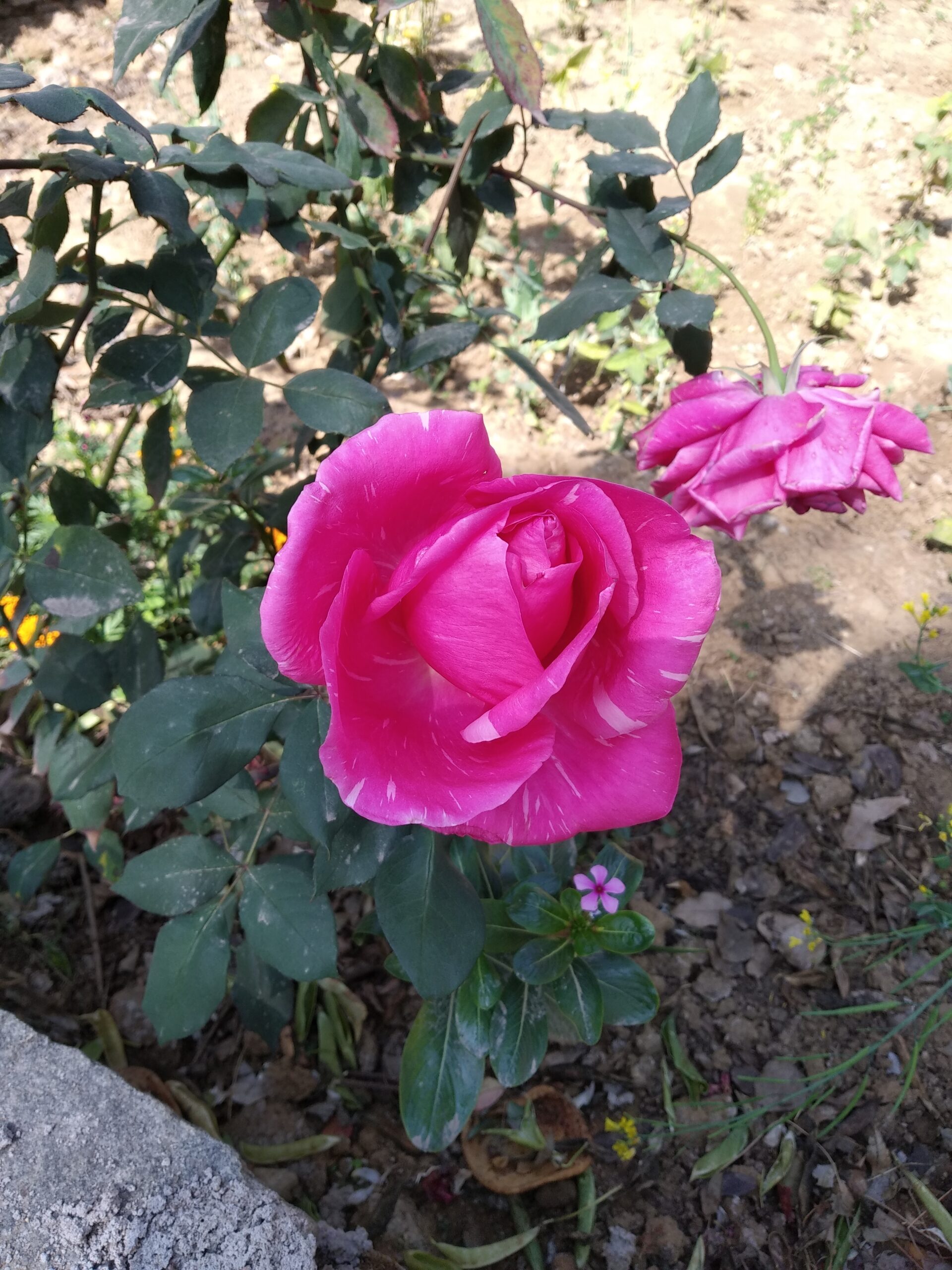 तुम ही कहो,कौन सी बात कहें?